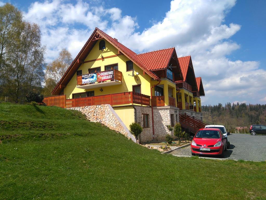 Pensjonat Zielone Wzgorze Boleslawow Stronie Śląskie Extérieur photo